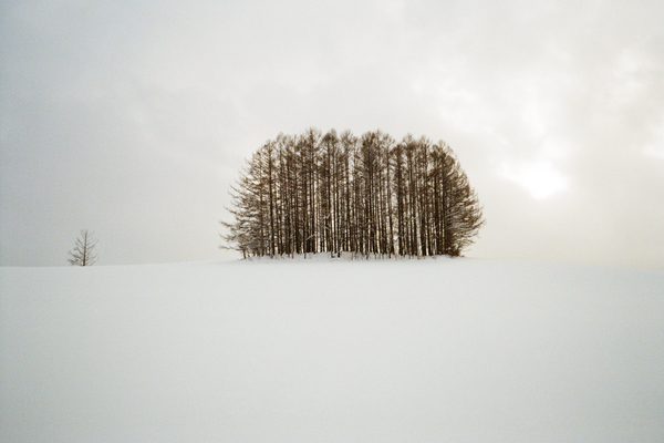Hill of Mild Seven